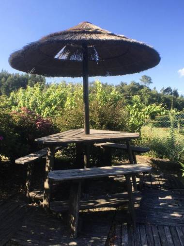 4 bedrooms villa with private pool enclosed garden and wifi at Penafiel