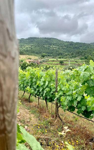 Casa Grande do Seixo