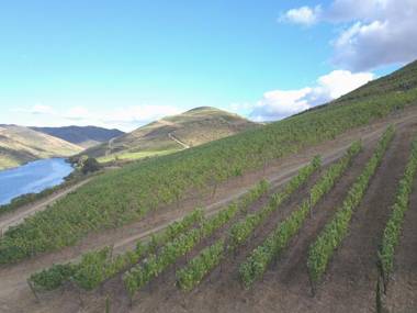 Casa do Rio Wine Hotel - Vallado