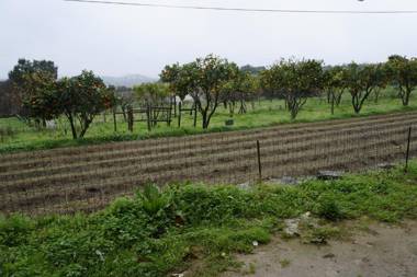 Quinta de São José dos Montes