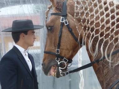 Quinta Almargem Lusitano - Farm House