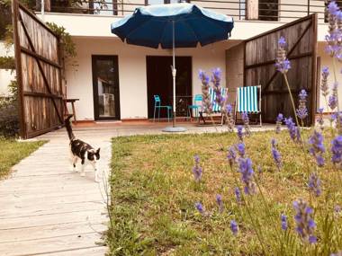 Quinta Rio de Oliveira