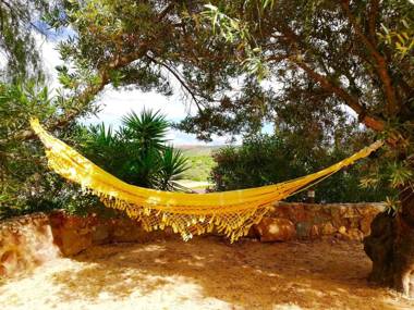 Gato Preto de Silves - Adults Only