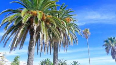 Apartamento OceanMartinho