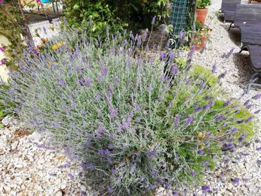 Quinta da Luz - A Luxury Boutique B&B