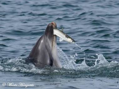 Monte Horizonte - The Luxury of Silence - Adults Only