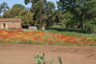 Apartamentos Bau-Doce