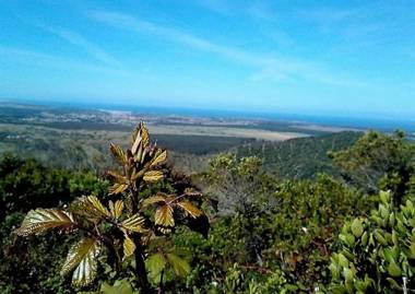 Apartamentos Bau-Doce