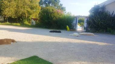 Studio with private pool and wifi at Santiago do Cacem 3 km away from the beach