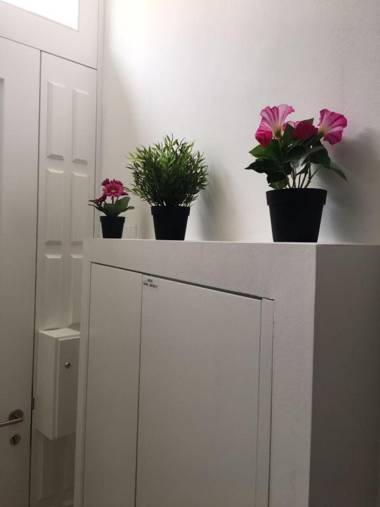 BRA.com Apartments Oporto Campanhã