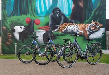 BFRESH Hotel - POOL - FITNESS - PADEL by Oporto Collection - FREE PARKING - Adults Only