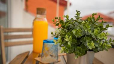 Oporto Explorers I Typical Villa I City Center