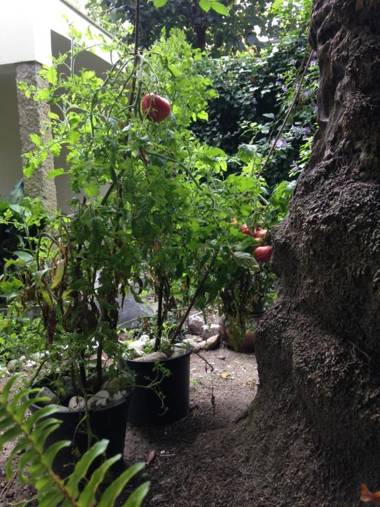 Palace Museum - Espaco Palmeiras