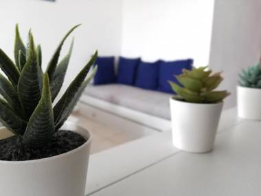 Alltravel Club praia da rocha VI