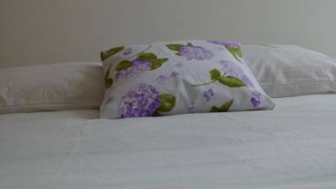 Watching Azores Apartment