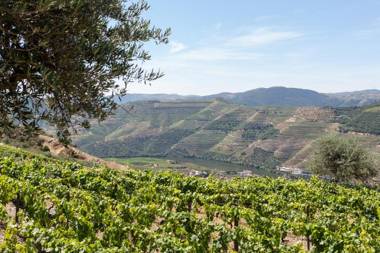 Casa De Casal De Loivos