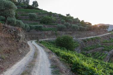 Casa De Casal De Loivos