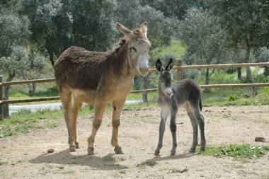 Quinta Do Chocalhinho