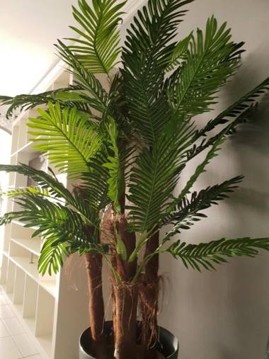 Préstige Holidays Alojamentos