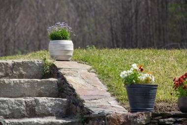 Solar da Castanha - Forest House