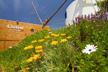 Baluarte Citadino Coxos Beach Lodge