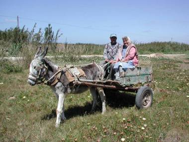 Da Silva Surfcamp- Terrassenzimmer mit Frühstück