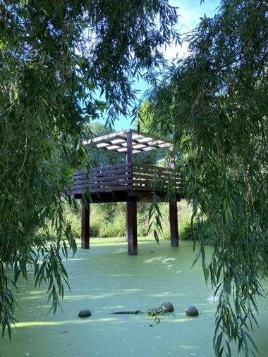 Da Silva Surf Lodge Two