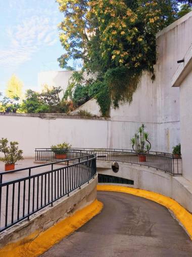 Charm Discovery Principe 7