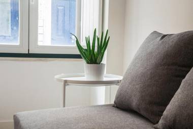 Santos Classic by Homing