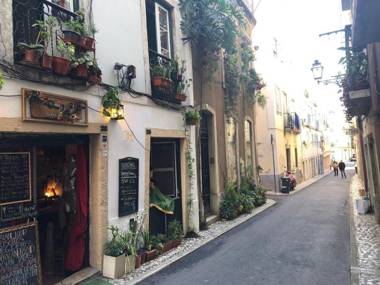 Green Street - lovely historic center apartment