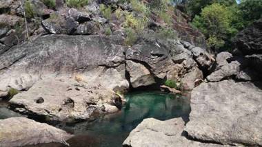 Forest House casinha do Carvalhal