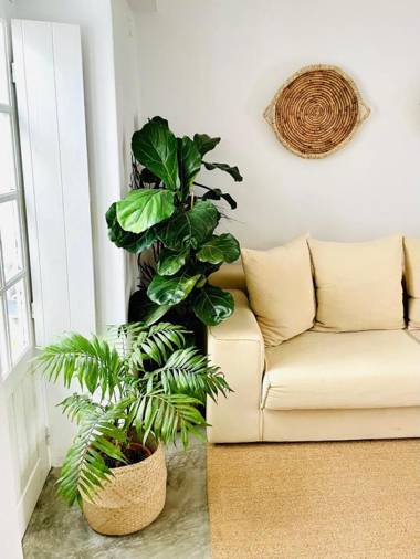 Casas das Piçarras - Alentejo