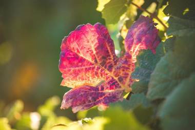 Quinta do Valdalagea