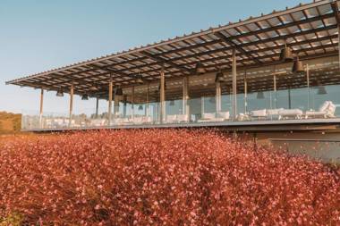 Palmares Beach House Hotel - Adults Only