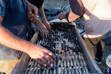 Herdade das Barradas da Serra