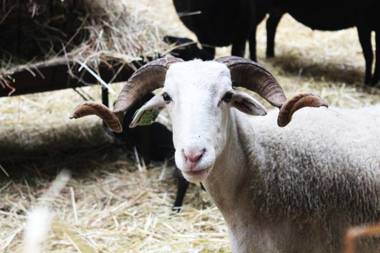 Madre De Água Hotel Rural de Charme