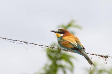 Quinta Do Salgueiro B&B - Turismo Rural