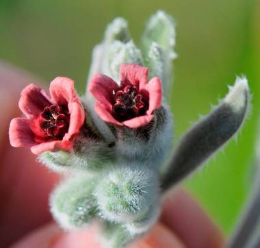 Quinta Do Salgueiro B&B - Turismo Rural