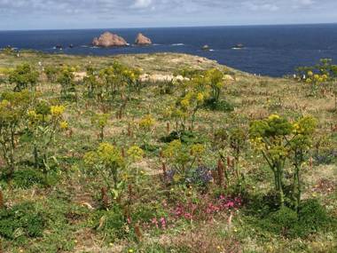 Lavish Villa in Foz do Arelho with Private Swimming Pool