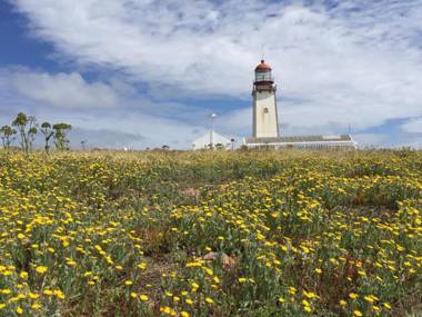 Lavish Villa in Foz do Arelho with Private Swimming Pool