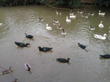 Casa Do Forno - Quinta Amoreira