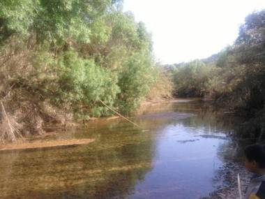 Casa Amoreira - Quinta Amoreira