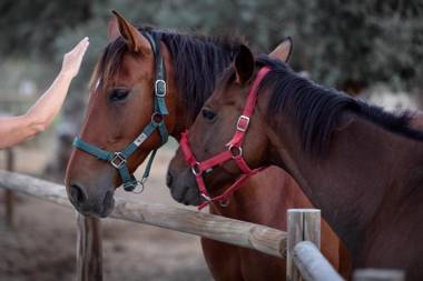 A Casa do Governador