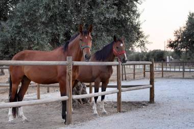 A Casa do Governador