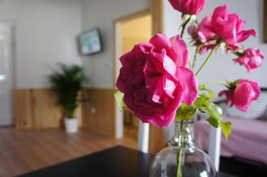 Olive3 Ericeira Hostel