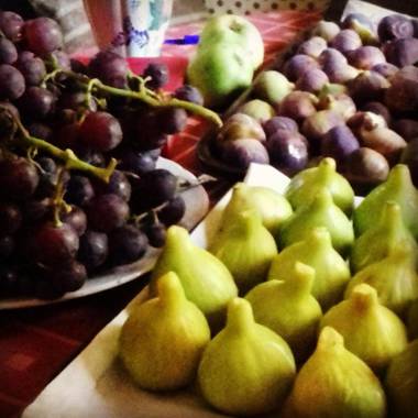 Quinta da Mata - Turismo de Habitação