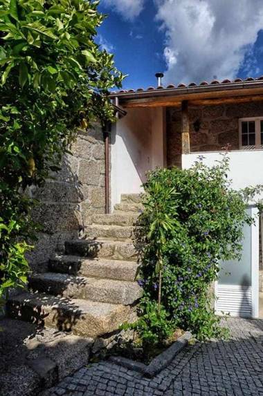 Casa de Barreiros Camélias de Basto