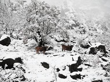 Hotel Castrum Villae - Walk Hotels