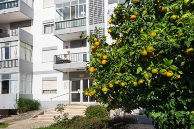 Olala Yolo Apartment