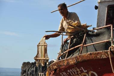 Apartment Palma Madeira wandern und tauchen